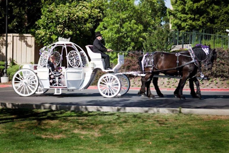 Gallery photo 4 of Fontes Carriages