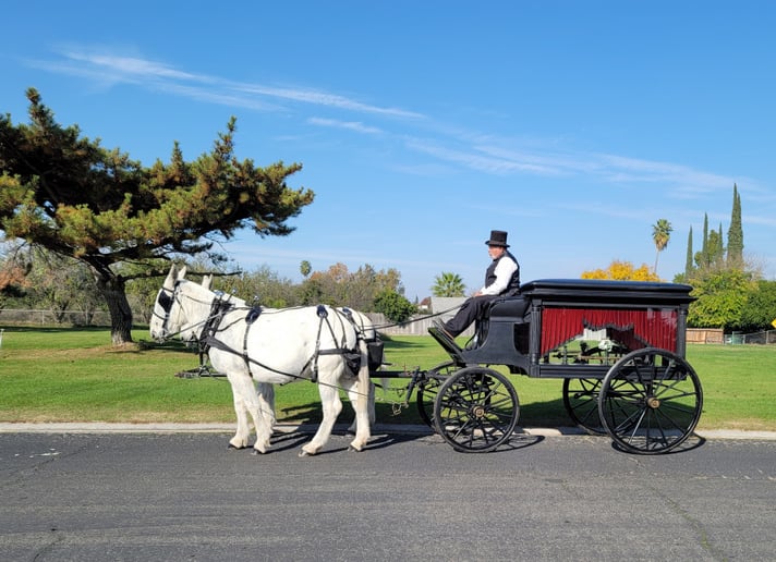 Gallery photo 6 of Fontes Carriages