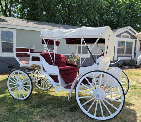 Gallery photo 5 of Fontes Carriages