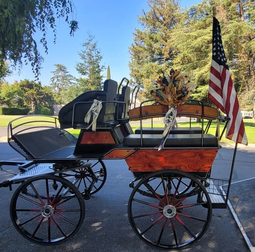 Gallery photo 7 of Fontes Carriages