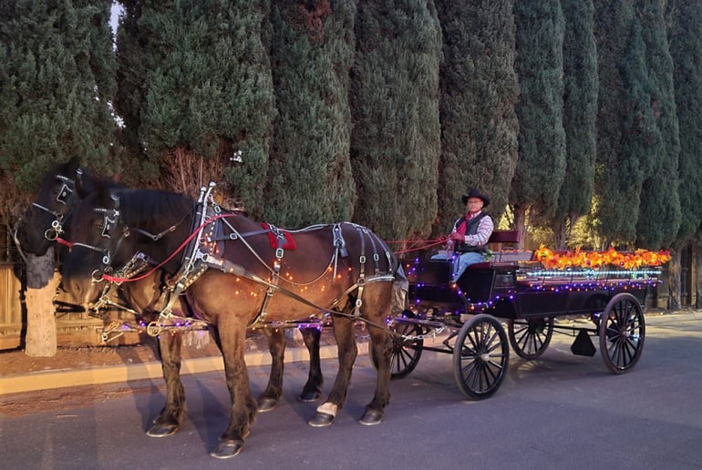 Gallery photo 8 of Fontes Carriages