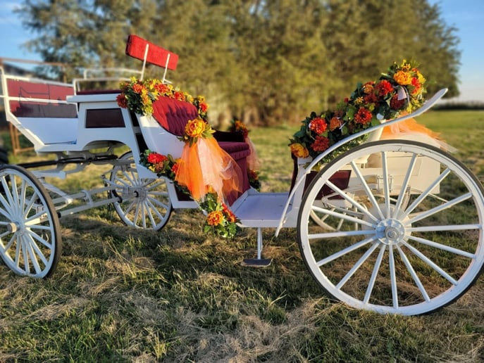 Gallery photo 9 of Fontes Carriages