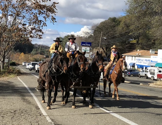Gallery photo 5 of Foothill Coach and Carriage