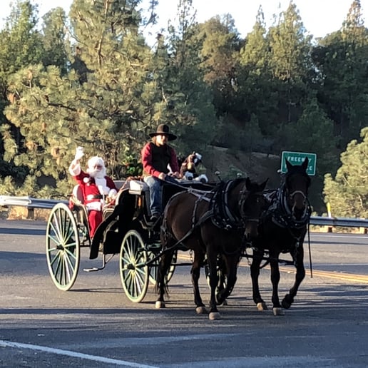 Gallery photo 6 of Foothill Coach and Carriage