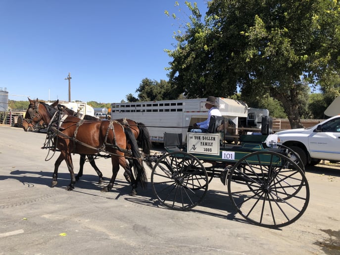 Gallery photo 7 of Foothill Coach and Carriage