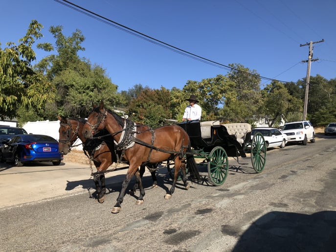 Gallery photo 8 of Foothill Coach and Carriage
