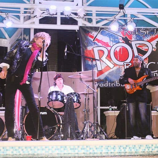 Gallery photo 5 of World's Best Rod Stewart Tribute