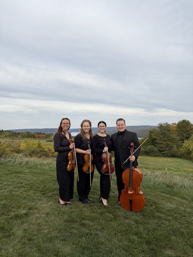 Gallery photo 2 of Forrest Strings