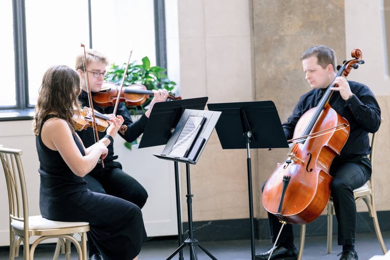 Gallery photo 3 of Forrest Strings