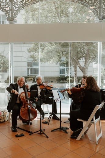 Gallery photo 1 of Forte Strings Quartet