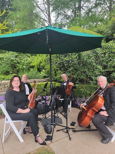 Gallery photo 2 of Forte Strings Quartet