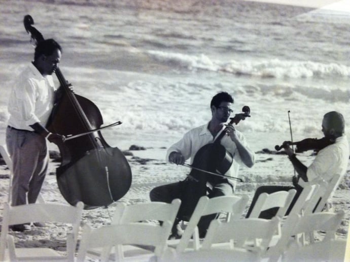 Gallery photo 7 of Fortíssimo Strings