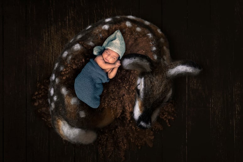 Gallery photo 13 of FotoZi Studio Photography