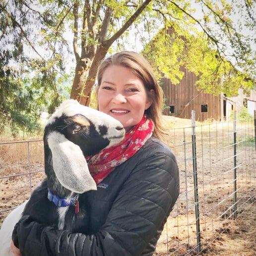 Gallery photo 1 of Founder of Goat Yoga