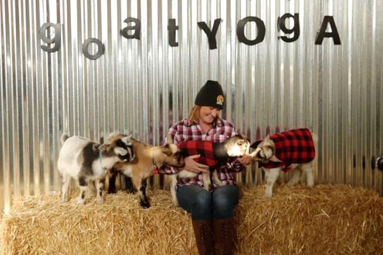 Gallery photo 2 of Founder of Goat Yoga