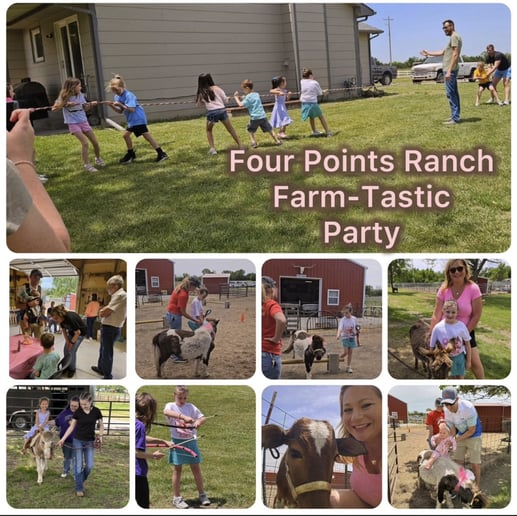 Gallery photo 8 of Four Points Ranch Entertainment