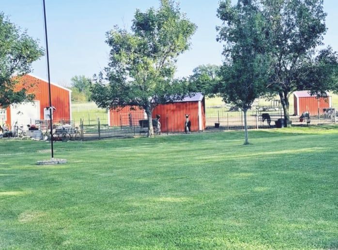 Gallery photo 2 of Four Points Ranch Entertainment
