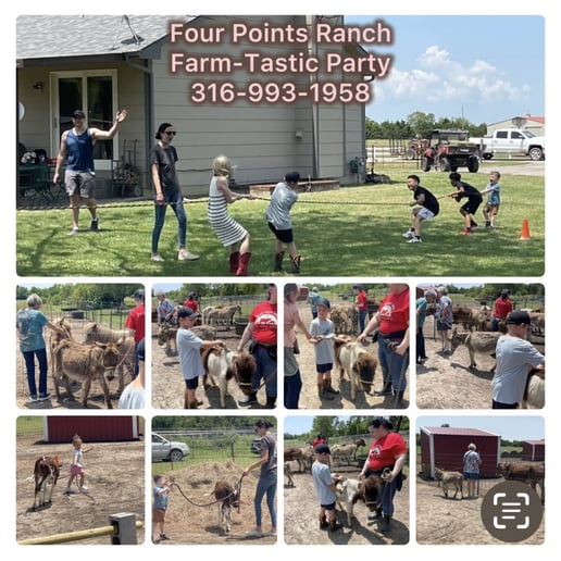 Gallery photo 10 of Four Points Ranch Entertainment