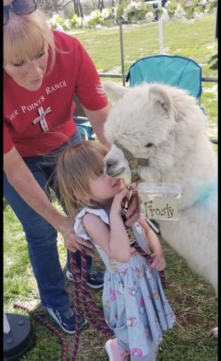 Gallery photo 4 of Four Points Ranch Entertainment