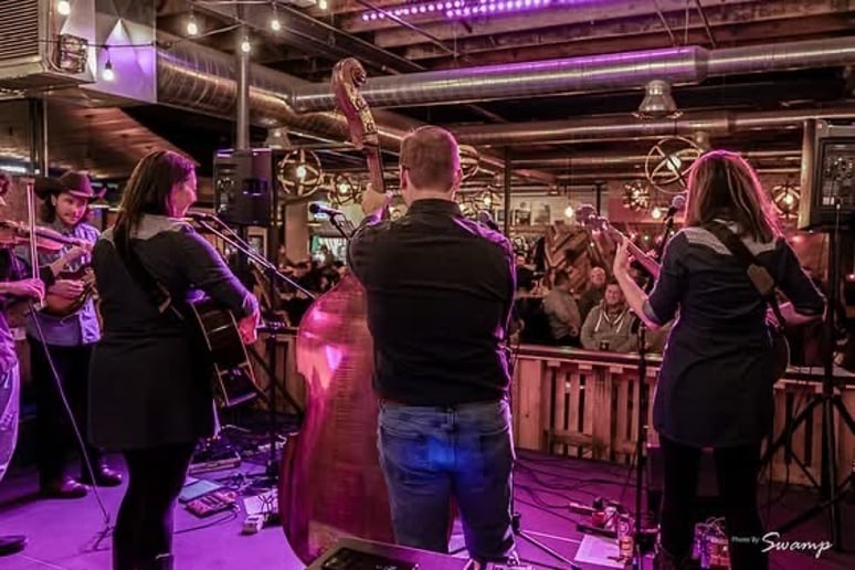 Gallery photo 2 of Fox Crossing Stringband