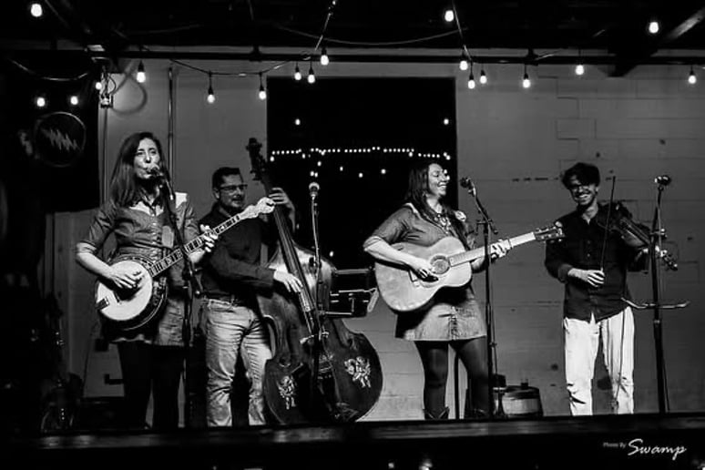 Gallery photo 3 of Fox Crossing Stringband