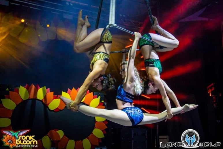 Gallery photo 1 of Fractal Tribe