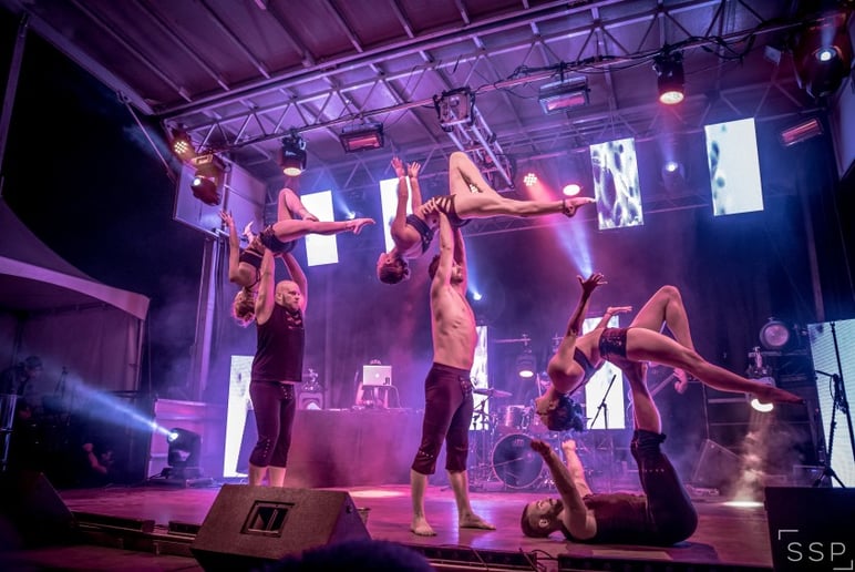 Gallery photo 8 of Fractal Tribe