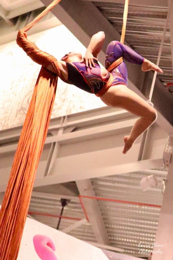 Gallery photo 1 of Francesca - Aerial Performer