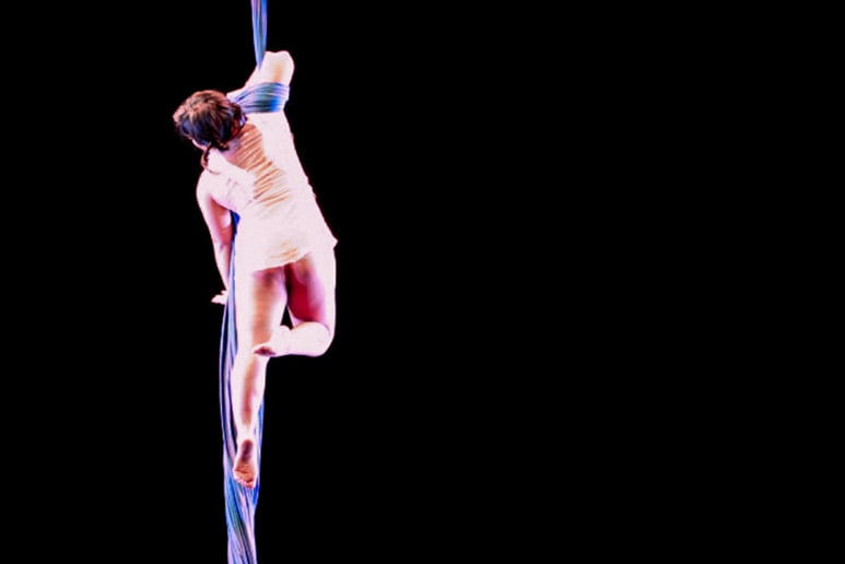 Gallery photo 2 of Francesca - Aerial Performer