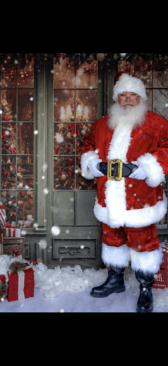 Gallery photo 3 of Santa Frank