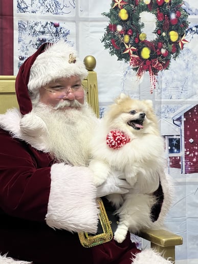 Gallery photo 8 of Santa Frank