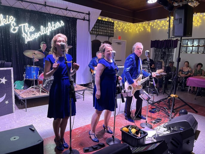 Gallery photo 20 of Frankie & The Moonlighters