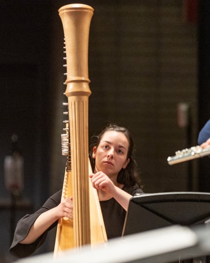 Gallery photo 5 of Margaret Anne, Freelance Harpist