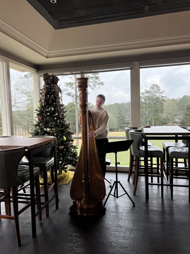 Gallery photo 6 of Margaret Anne, Freelance Harpist
