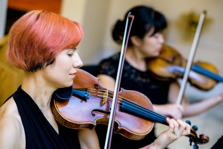 Gallery photo 6 of Fretless Music