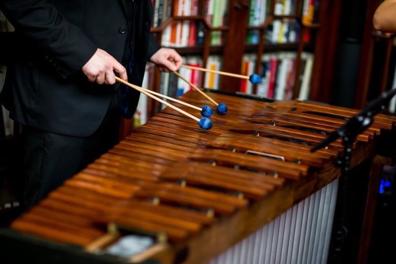 Gallery photo 4 of Fretless Music