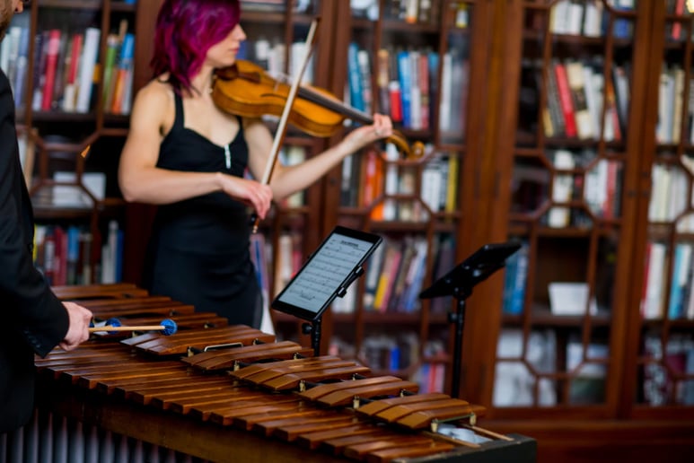 Gallery photo 5 of Fretless Music