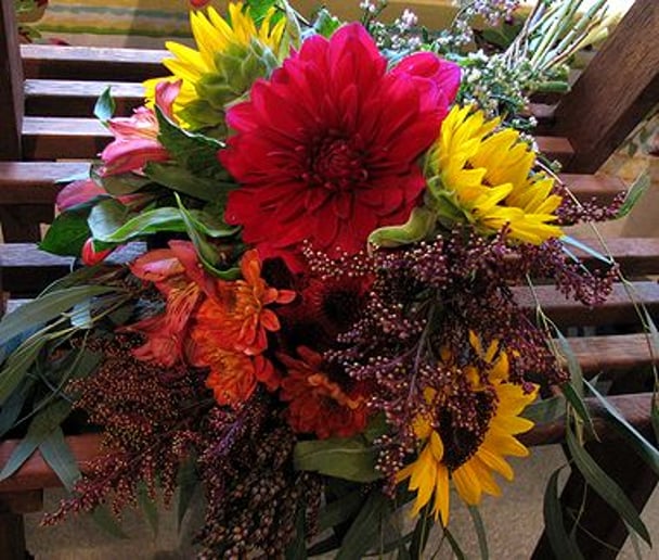 Gallery photo 3 of Froggy's Garden, LLC