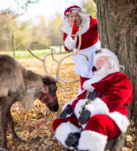 Gallery photo 7 of Ft Wayne Santa