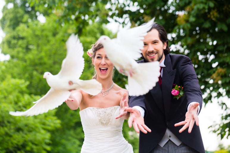 Gallery photo 1 of Full Circle Dove Release