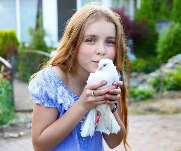 Gallery photo 5 of Full Circle Dove Release