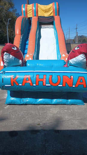 Gallery photo 8 of Fun Factory Inflatables