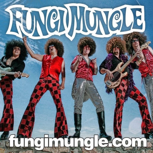 Gallery photo 10 of Fungi Mungle