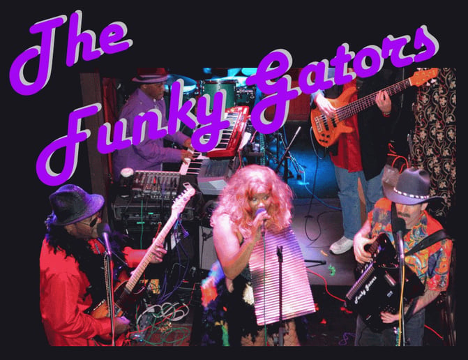 Gallery photo 1 of Funky Gators