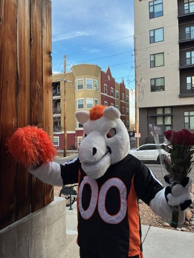 Gallery photo 7 of Elvis and The Mascot Messengers