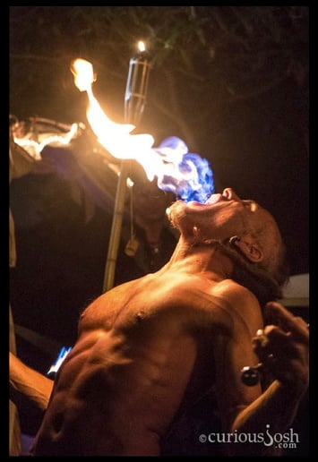 Gallery photo 4 of Fyregod Zor