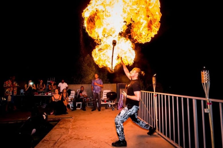 Gallery photo 1 of Elemental Entertainer