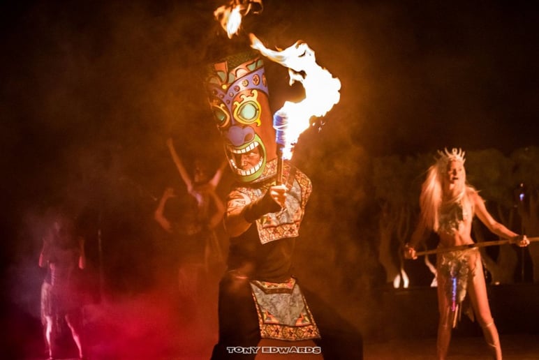 Gallery photo 5 of Elemental Entertainer