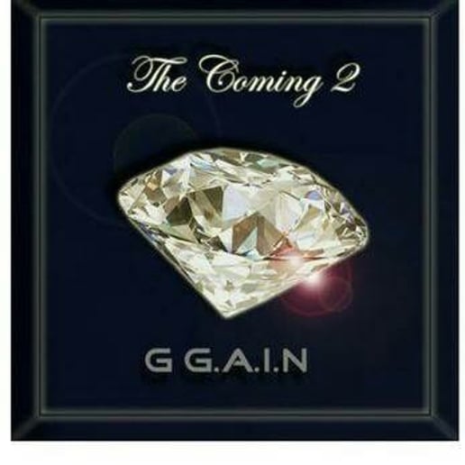 Gallery photo 5 of G G.a.i.n