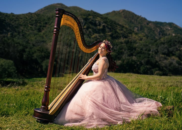 Gallery photo 2 of Gabriela Harpist